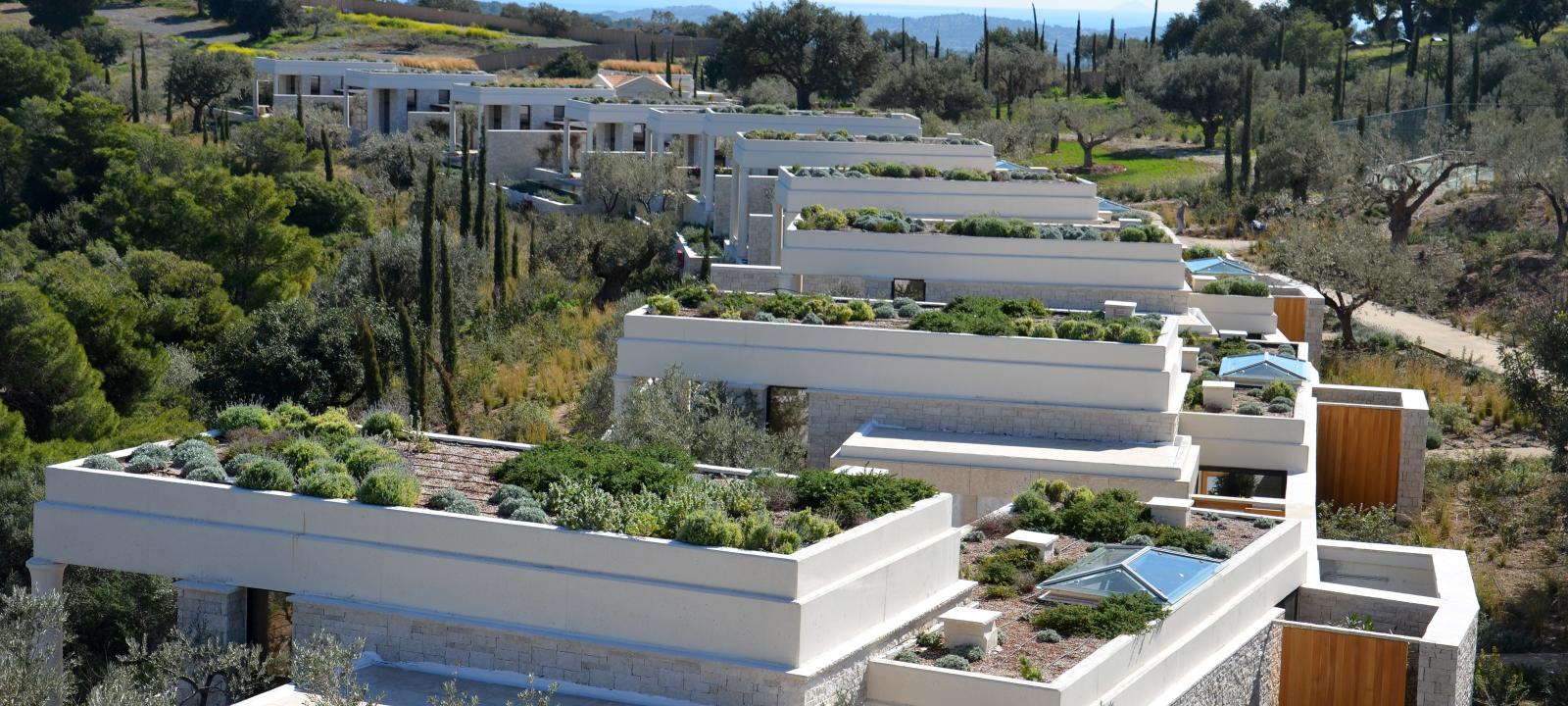 Green roof with lavender and herbs